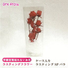 【ふるさと納税】ケース入り ラスティング SPバラ