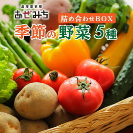 【ふるさと納税】農産直売所あぜみち 新鮮野菜 5種類詰合せ | 採れたて 美味しい おまかせ 新鮮 直送 旬野菜 やさい 詰め合わせ セット 季節の野菜 宇都宮市 ふるさと納税 国産 送料無料※着日指定不可