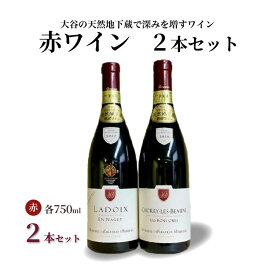 【ふるさと納税】大谷の天然地下蔵で深みを増すワイン 赤 2本セット【 赤ワイン お酒 飲み比べ セット ギフト 栃木県 宇都宮市 】※配送不可地域：離島