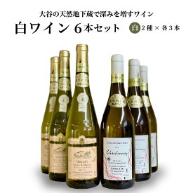 【ふるさと納税】大谷の天然地下蔵で深みを増すワイン 白 6本セット【 白ワイン 飲み比べ ギフト 栃木県 宇都宮市 】※配送不可地域：離島