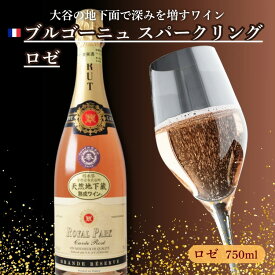 【ふるさと納税】大谷の天然地下蔵で深みを増すワイン ブルゴーニュ スパークリングロゼ 1本 ｜ ワイン スパークリングワイン ギフト 栃木県 宇都宮市 ※離島への配送不可
