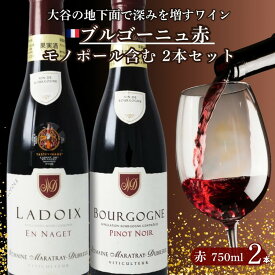 【ふるさと納税】大谷の天然地下蔵で深みを増すワイン ブルゴーニュ赤 モノポール含む 2本セット ｜ 赤ワイン お酒 飲み比べ セット ギフト 栃木県 宇都宮市 ※離島への配送不可