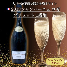 【ふるさと納税】大谷の天然地下蔵で深みを増すワイン 2013シャンパーニュ ロゼ ブリュット 1級畑 1本 ｜ ワイン シャンパン ギフト 栃木県 宇都宮市 ※離島への配送不可