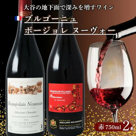 【ふるさと納税】大谷の天然地下蔵で深みを増すワイン ブルゴーニュ 熟成ボージョレ ヌーヴォー 赤 2本セット ｜ 赤ワイン お酒 飲み比べ セット ギフト 栃木県 宇都宮市 ※離島への配送不可