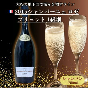 �y�ӂ邳�Ɣ[�Łz��J�̓V�R�n�����Ő[�݂𑝂����C�� 2015�V�����p�[�j�� ���[ �u�����b�g 1���� 1�{ �b ���C�� �V�����p�� �M�t�g �Ȗ،� �F�s�{�s �������ւ̔z���s��