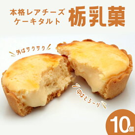 【ふるさと納税】栃乳菓　10個 　※離島への配送不可