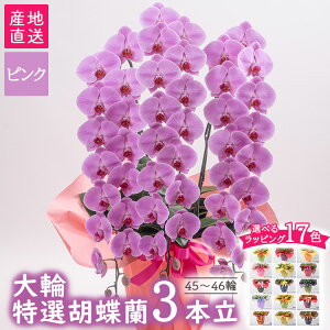 yӂ邳Ɣ[ŁzyȖ،Fs{YzIӒiցjsN@3{ 45`46փNXւ̔zs