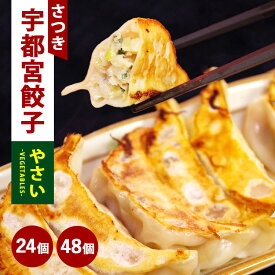 【ふるさと納税】【選べる内容量】やさい餃子