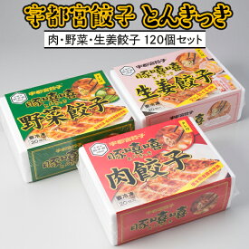 【ふるさと納税】【120個】宇都宮餃子とんきっき　20個入り肉・野菜・生姜餃子120個セット※着日指定不可