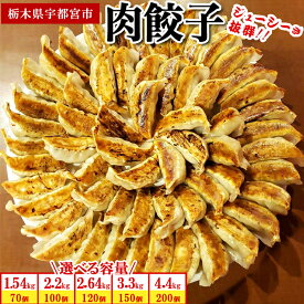 【ふるさと納税】【選べる内容量】餃子専門店 宇都宮 悟空 肉餃子｜餃子 冷凍 ぎょうざ ギョーザ 冷凍餃子 大容量 肉多め 人気 名物 行列 国産野菜 国産豚肉 ジューシー スタミナ パリパリ もちもち グルメ おかず 栃木県