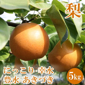 【ふるさと納税】【先行予約】【産地直送】梨 5kg | 幸水 豊水 あきづき にっこり 旬 産地直送 フルーツ 果物 贈答 ナシ 秋 旬 フルーツ お取り寄せ 送料無料 旬の梨 フルーツ梨 5kg nashi 栃木県 宇都宮市 ※2026年9月～発送