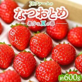 【ふるさと納税】【先行予約】【産地直送】JBファームのなつおとめ（約600g） ｜ 栃木県宇都宮市 いちご イチゴ 苺 なつおとめ ※2025年6月上旬～2026年1月下旬頃に順次発送予定