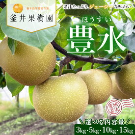 【ふるさと納税】【選べる内容量】豊水 3kg 5kg 10kg 15kg | 栃木県産 宇都宮市 梨 なし 豊水 フルーツ 果物 旬 産地直送 ※2026年8月～発送