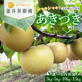 【ふるさと納税】【選べる内容量】あきづき 3kg 5kg 10kg 15kg | 栃木県産 宇都宮市 梨 なし あきづき フルーツ 果物 旬 産地直送 ※2026年9月～発送