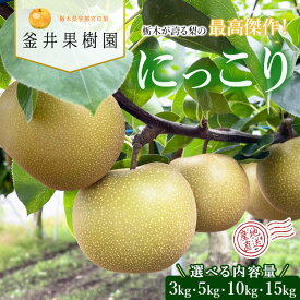 【ふるさと納税】【選べる内容量】にっこり ｜ 栃木県産 宇都宮市 梨 なし にっこり フルーツ 果物 旬 果物 産地直送 ※離島への配送不可 ※2025年10月上旬頃より順次発送予定