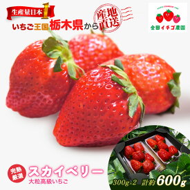 【ふるさと納税】【数量限定】高級いちご 完熟スカイベリー2パック 600g ｜ いちご イチゴ 苺 大粒 大きい 赤い 甘い 完熟 厳選 評判 新鮮 フルーツ 果物 スイーツ ジャム アレンジ 好評 人気 アフター対応あり 生産量 日本一 栃木県産 糖度 濃厚 産地直送 いちご王国 栃木県
