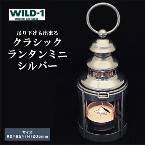 yӂ邳Ɣ[ŁzNVbN^~j@Vo[ | tent-Mark DESIGNS e}NfUC WILD-1 Ch Lv AEghAMA eg o[xL[ BBQ \Lv OsO Cx