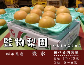 【ふるさと納税】【先行予約】＼選べる内容量／ 栃木県産 梨【豊水】5kg（14〜10玉）または 3kg（8〜6玉）｜旬 果物 フルーツ 産地直送 栃木県産 ※2026年9月～発送