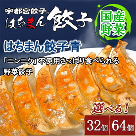 【ふるさと納税】【選べる内容量】宇都宮餃子 はちまん餃子 青 野菜餃子 ｜ 宇都宮餃子 国産野菜 グルメ 宇都宮市 野菜 餃子 ぎょうざ ギョーザ 野菜 冷凍食品 冷凍餃子 焼き餃子 水餃子