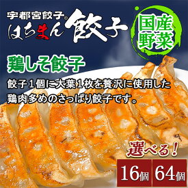 【ふるさと納税】【選べる内容量】宇都宮餃子 はちまん餃子 鶏しそ餃子 ｜ 宇都宮餃子 国産野菜 グルメ 宇都宮市 餃子 冷凍 ぎょうざ ギョーザ 野菜 冷凍食品 冷凍餃子 焼き餃子 水餃子