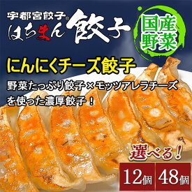 【ふるさと納税】【選べる内容量】宇都宮餃子 はちまん餃子 にんにくチーズ餃子 ｜ 宇都宮餃子 国産野菜 グルメ 宇都宮市 ぎょうざ ギョーザ 野菜 冷凍食品 冷凍餃子 焼き餃子 水餃子