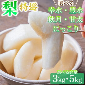 【ふるさと納税】【先行予約】【選べる容量】梨 特選 3kg または 5kg 標準箱 幸水 豊水 秋月 甘太 にっこり｜ 幸水 豊水 秋月 甘太 にっこり 旬 産地直送 フルーツ 果物 贈答 ナシ 秋 旬 フルーツ お取り寄せ 送料無料 旬の梨 フルーツ梨 3kg 5kg nashi 栃木県 宇都宮市