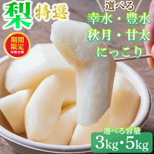 yӂ邳Ɣ[Łz_12܂ 񕍊z^ys\zyIׂeʁz I 3kg ܂ 5kg W K L H Ñ ɂb Ȗ،Y ʕ t[c { Yn ւ̔zs