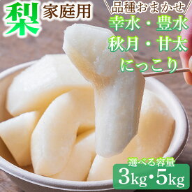 【ふるさと納税】【家庭用】＼選べる内容量／ 品種おまかせ 梨 3kg または 5kg 幸水 豊水 秋月 甘太 にっこり｜ 栃木県産 果物 フルーツ 旬 産地直送 ※離島への配送不可