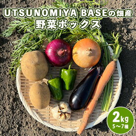 【ふるさと納税】UTSUNOMIYA BASEの畑産野菜ボックス 2kg