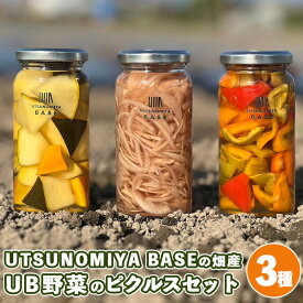 【ふるさと納税】UTSUNOMIYA BASEの畑産 UB野菜のピクルス【3種セット】