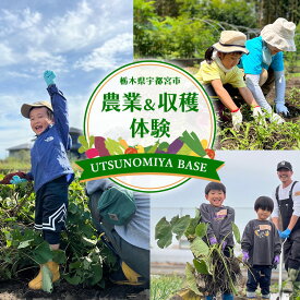 【ふるさと納税】UTSUNOMIYA BASE農業、収穫体験
