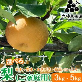 【ふるさと納税】【先行予約】【選べる内容量・品種】梨 3kg または 5kg 箱（家庭用）幸水 豊水 あきづき 新高 にっこり 旬 産地直送 フルーツ 果物 贈答 ※2026年8月～発送