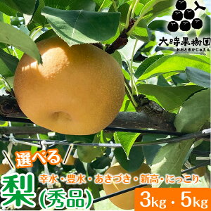 yӂ邳Ɣ[Łzys\zyIׂeʁEiz 3kg ܂ 5kg iGijbK L Â V ɂ { Yn t[c ʕ  2025N8{菇\