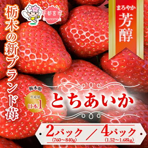 yӂ邳Ɣ[Łz_Iׂeʁ^ys\zƂ 380g`420g×2pbN |   C`S V Â x n[g^ t[c ʕ XC[c W Yn Y Yʓ{