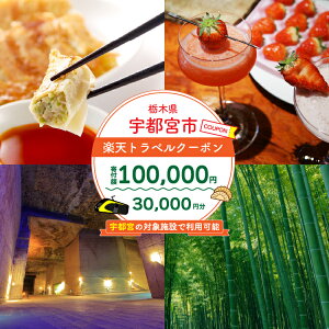 yӂ邳Ɣ[ŁzȖ، Fs{s̑Ώێ{݂Ŏg yVgxN[| tz100,000~ y h\ rakutengx s h ό Mtg ze  Ƒs `Pbg x k֓ 