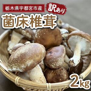 yӂ邳Ɣ[Łzystzy󂠂zȖ،Fs{sY@ۏő@2kg 2025N11ȍ~\
