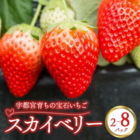 【ふるさと納税】【選べる内容量】宇都宮育ちの宝石いちご「スカイベリー」 2パック/4パック/6パック/8パック | 苺 イチゴ 果物 フルーツ 栃木県 宇都宮市 ※2025年12月中旬～2026年3月下旬頃に順次発送予定