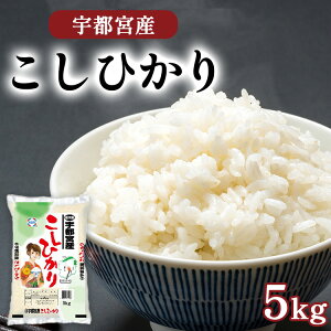 yӂ邳Ɣ[ŁzyyVzFs{Y Ђ 5kg