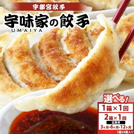 【ふるさと納税】【選べる容量・配送回数】宇都宮餃子 宇味家のぎょうざ （生冷凍）※離島への配送不可
