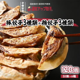 【ふるさと納税】宇都宮餃子 運気アップ餃子 6種類味比べ(合計120個)【 餃子 食べ比べセット 冷凍餃子 冷凍食品 惣菜 栃木県 宇都宮市 】※配送不可地域：離島