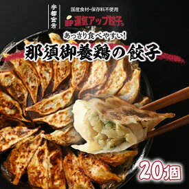 【ふるさと納税】宇都宮餃子 運気アップ餃子 那須御養鶏の餃子 20個 保存料不使用【 餃子 ぎょうざ 冷凍餃子 冷凍食品 惣菜 栃木県 宇都宮市 】※配送不可地域：離島