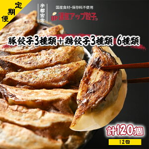 yӂ邳Ɣ[Łzy12zFs{Lq ^CAbvLq 6ޖ(v120)@ۑsgpy傤 MEU M[U ⓀHi ⓀLq y 邲  ܂ y Z 