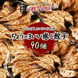【ふるさと納税】宇都宮餃子 運気アップ餃子 ちょう×3いい感じ餃子 90個 保存料不使用【 餃子 ぎょうざ 冷凍餃子 冷凍食品 惣菜 栃木県 宇都宮市 】※配送不可地域：離島