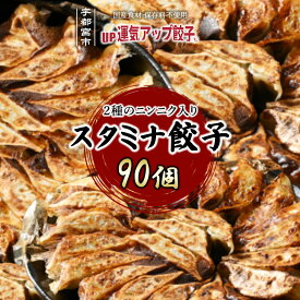 【ふるさと納税】宇都宮餃子 運気アップ餃子 ニンニクマシマシ スタミナ餃子 90個 保存料不使用【冷凍餃子 ぎょうざ ギョウザ にんにく 冷凍食品 惣菜 栃木県 宇都宮市 】※配送不可地域：離島