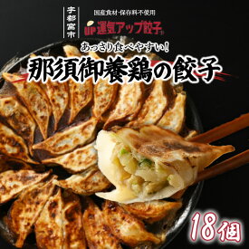 【ふるさと納税】宇都宮餃子 運気アップ餃子 那須御養鶏の餃子 18個 保存料不使用【 餃子 ぎょうざ 冷凍餃子 冷凍食品 惣菜 栃木県 宇都宮市 】※配送不可地域：離島