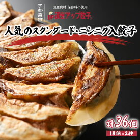 【ふるさと納税】宇都宮餃子 運気アップ餃子 2種類味比べ(合計36個)【餃子 ぎょうざ ギョウザ 食べ比べセット 冷凍餃子 冷凍食品 惣菜 栃木県 宇都宮市 】※配送不可地域：離島