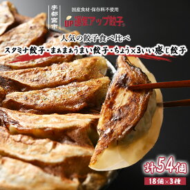 【ふるさと納税】宇都宮餃子 運気アップ餃子 豚餃子 3種類(合計54個)【 餃子 食べ比べセット 冷凍餃子 冷凍食品 惣菜 栃木県 宇都宮市 】※配送不可地域：離島