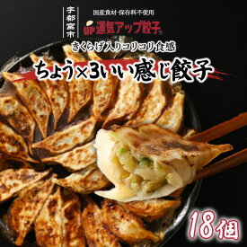 【ふるさと納税】宇都宮餃子 運気アップ餃子 ちょう×3いい感じ餃子 18個 保存料不使用【 餃子 ぎょうざ 冷凍餃子 冷凍食品 惣菜 栃木県 宇都宮市 】※配送不可地域：離島