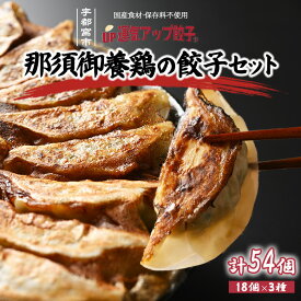 【ふるさと納税】宇都宮餃子 運気アップ餃子 鶏餃子 3種類味比べ(合計54個)【 餃子 食べ比べセット 冷凍餃子 冷凍食品 惣菜 栃木県 宇都宮市 】※配送不可地域：離島