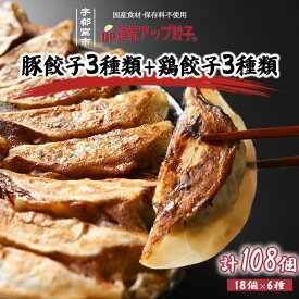 【ふるさと納税】宇都宮餃子 運気アップ餃子 6種類味比べ(合計108個)【 餃子 食べ比べセット 冷凍餃子 冷凍食品 惣菜 栃木県 宇都宮市 】※配送不可地域：離島